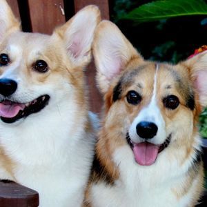 Meet your Posher, Carolyn